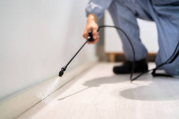 Licensed Termite Control service in Monterey, CA - Show Me Pest Control