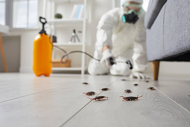 Post-Treatment Bed Bug Interceptor Monitoring in Monterey